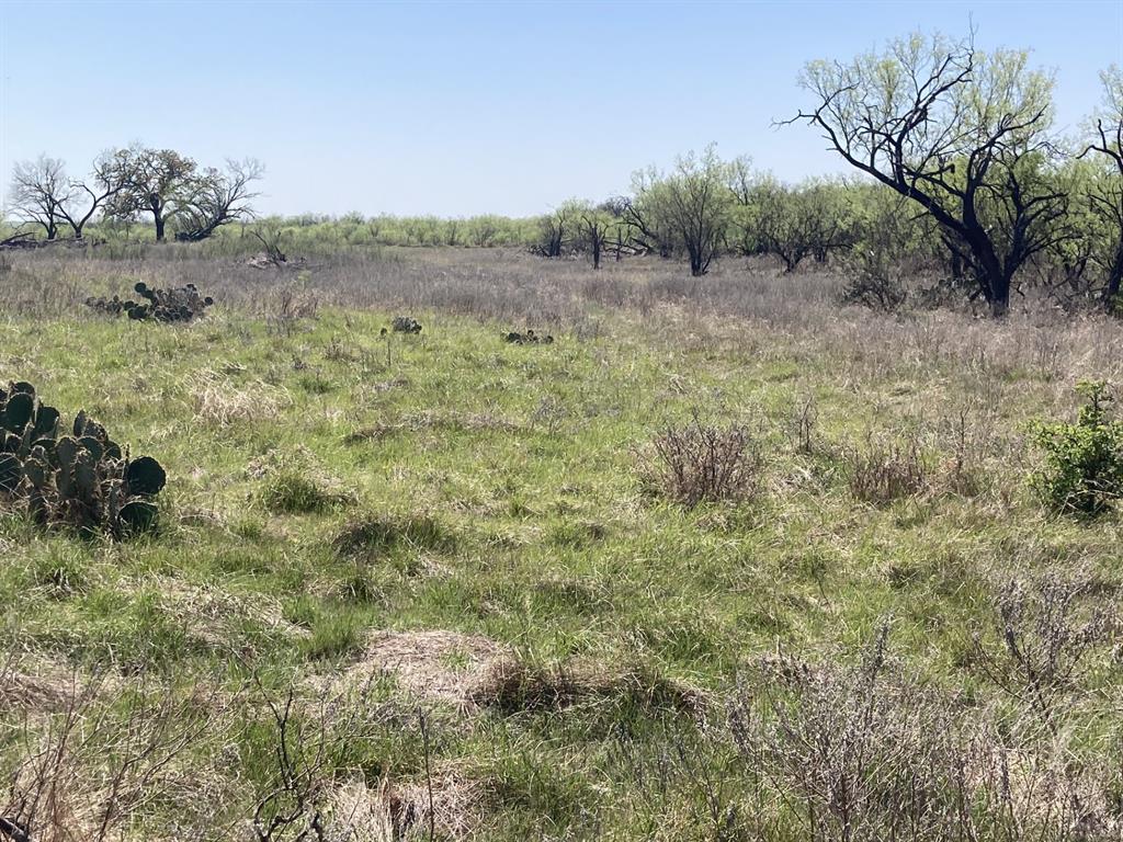 0 Medlan Chapel Road Graham, TX 76450 - Photo 2 of 25 a view of a lush green field