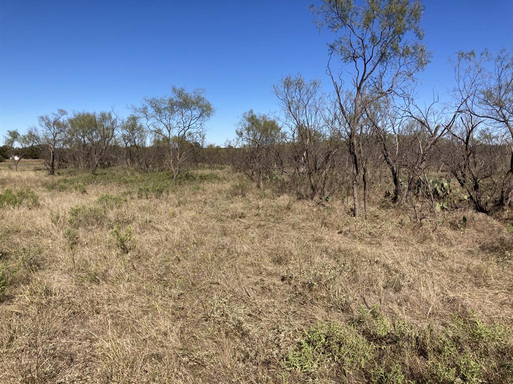 0 Medlan Chapel Road Graham, TX 76450 - Photo 21 of 25 a view of a dry yard with trees in the background