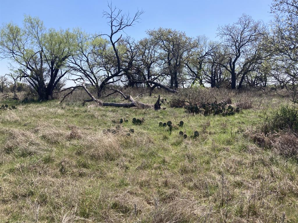 0 Medlan Chapel Road Graham, TX 76450 - Photo 25 of 25 a backyard of a house with lots of green space
