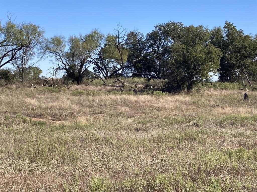 0 Medlan Chapel Road Graham, TX 76450 - Photo 4 of 25 a view of a dry yard with trees