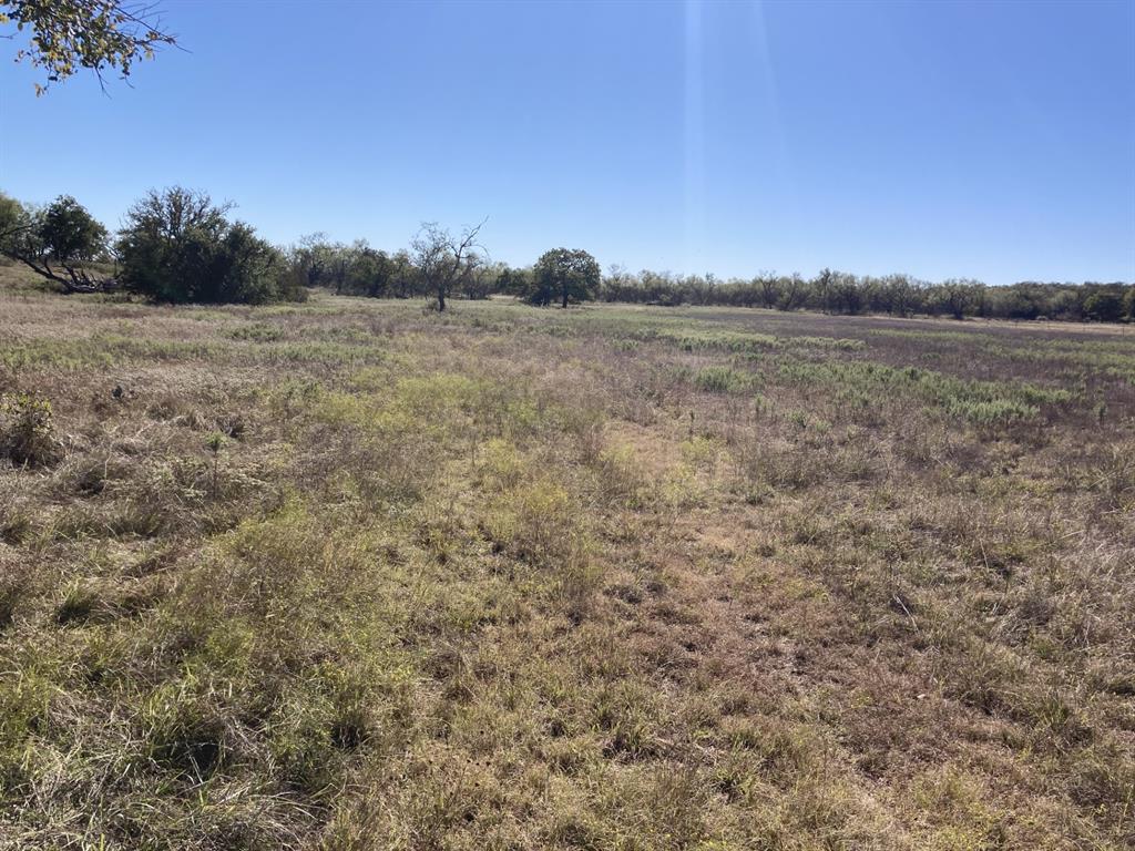 0 Medlan Chapel Road Graham, TX 76450 - Photo 7 of 25 a view of a field with trees in background