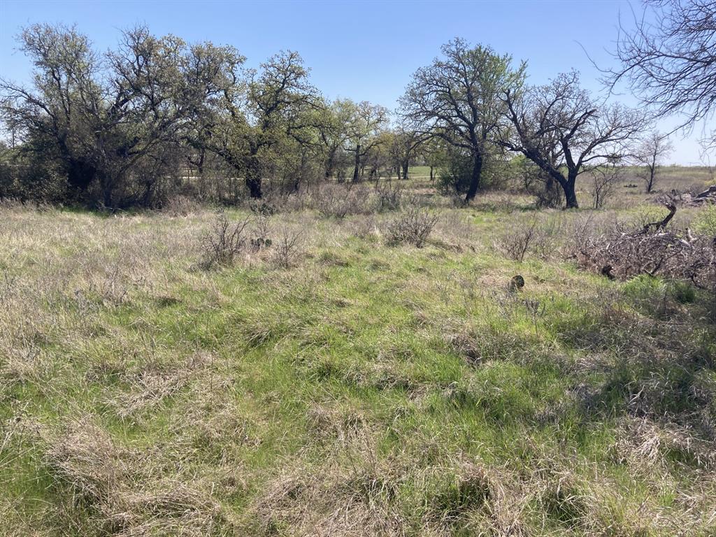 0 Medlan Chapel Road Graham, TX 76450 - Photo 8 of 25 a view of a dry yard