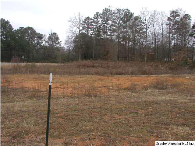 4131 Choccolocco Road Anniston, AL 36207 - Photo 5 of 6