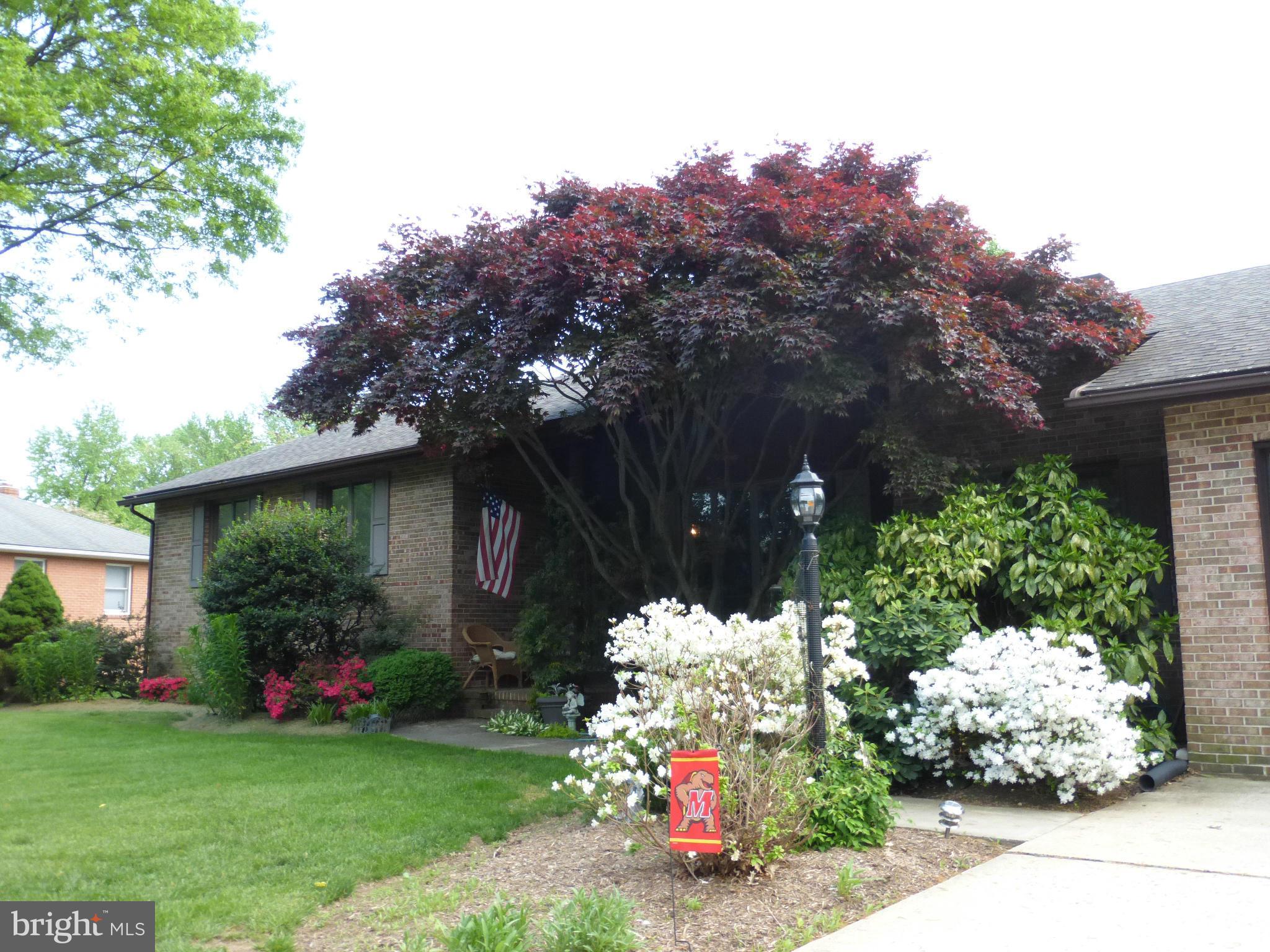 a front view of a house with a yard and a tree