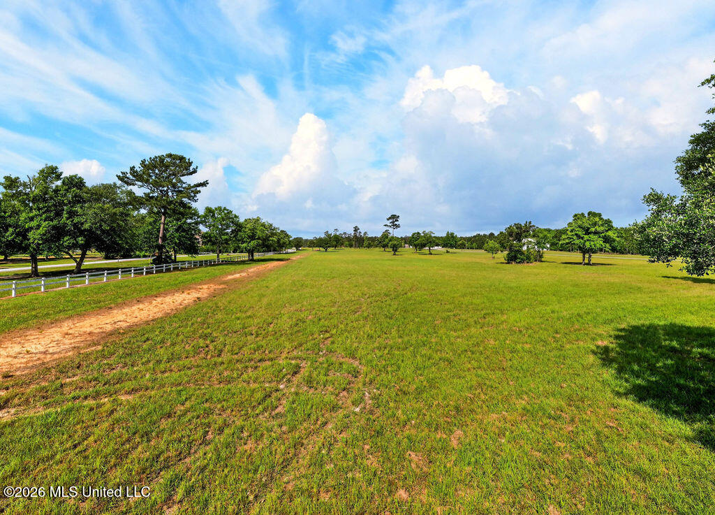 Jordan Bluff Drive Kiln, MS 39556 - Photo 5 of 16 132M-0-24-001.017-3