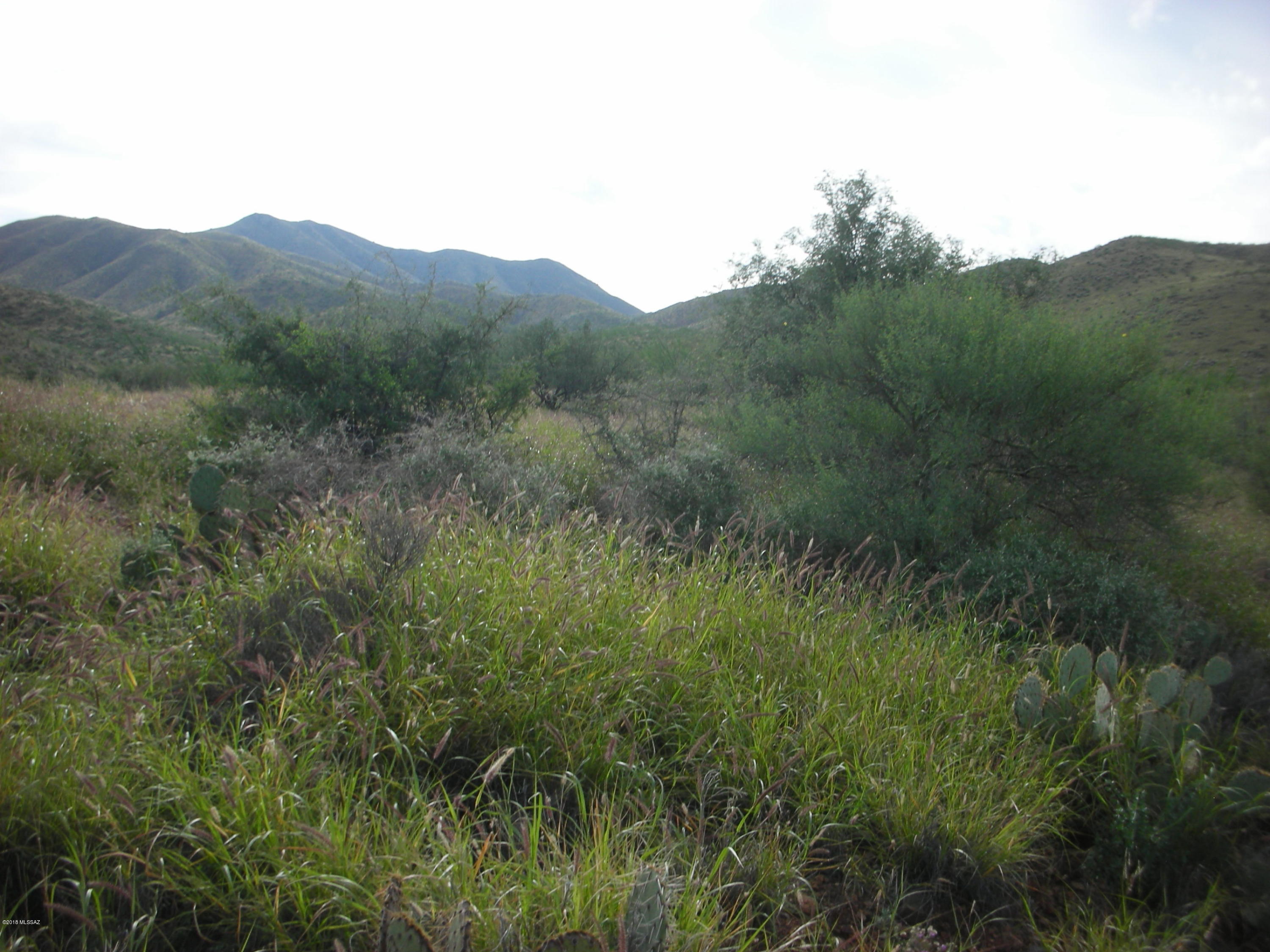 10600 East Ocotillo Rim Trail Vail, AZ 85641 - Photo 14 of 24 Gallery Image 14