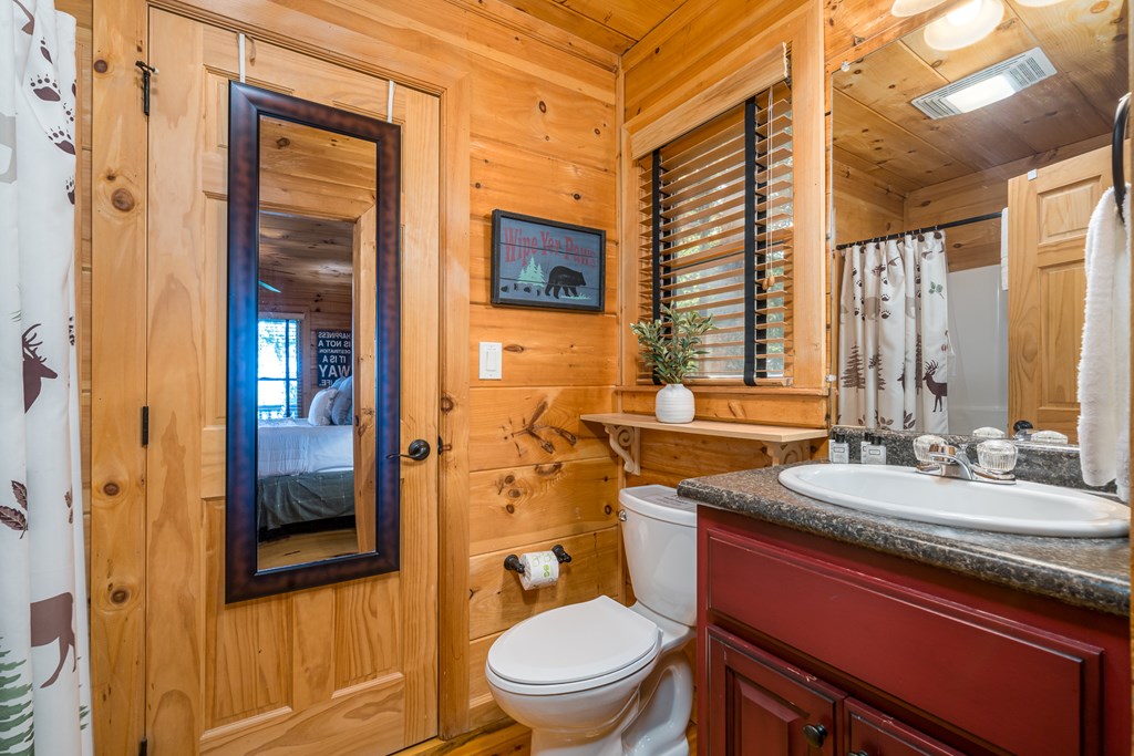 107 Little Bushy Head Road Blue Ridge, GA 30513 - Photo 17 of 43 Gallery Image 17