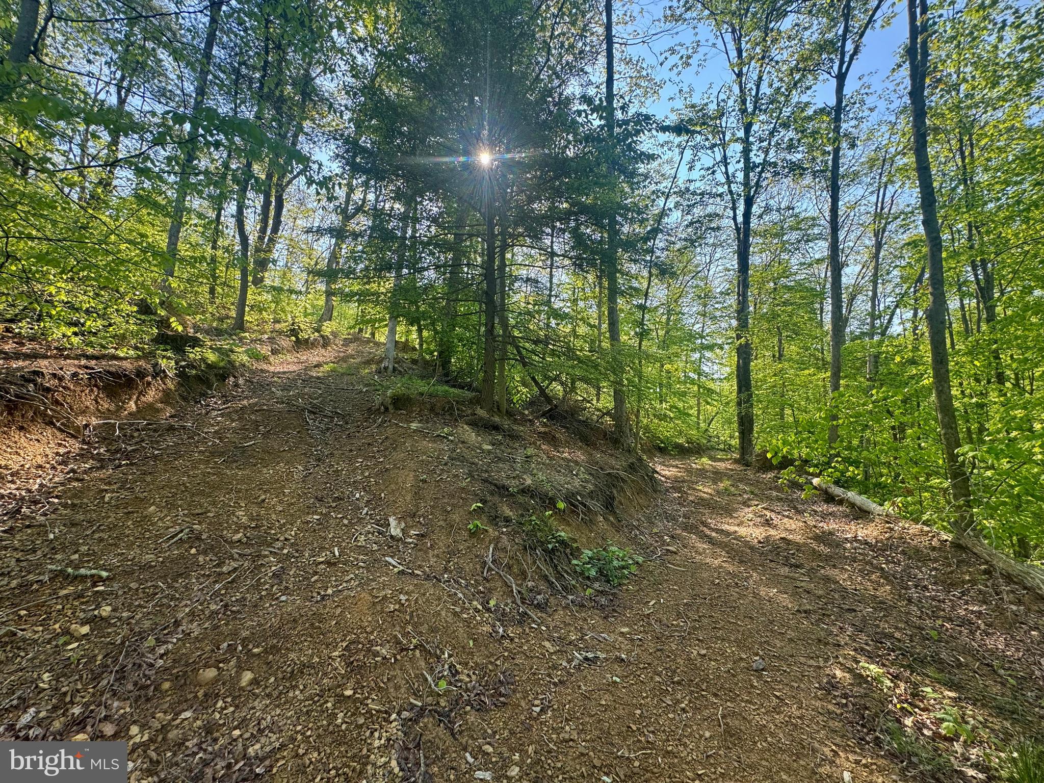 Tract B John Orr Road Independence, WV 26374 - Photo 14 of 30