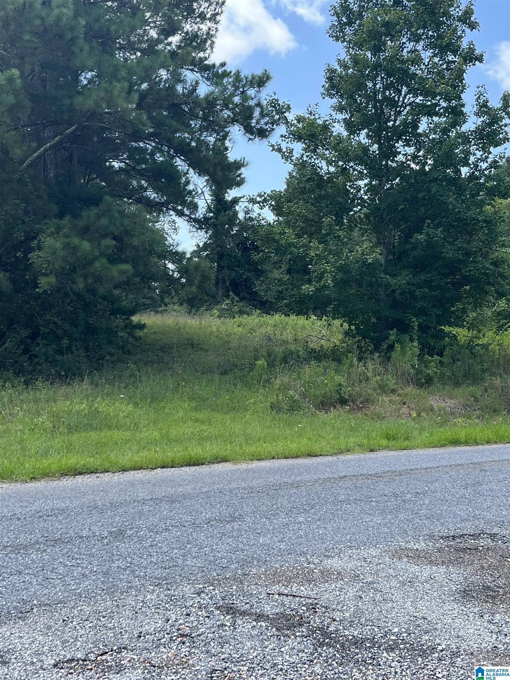 0 Meadow River Road, Unit 1 Talladega, AL 35160 - Photo 6 of 9