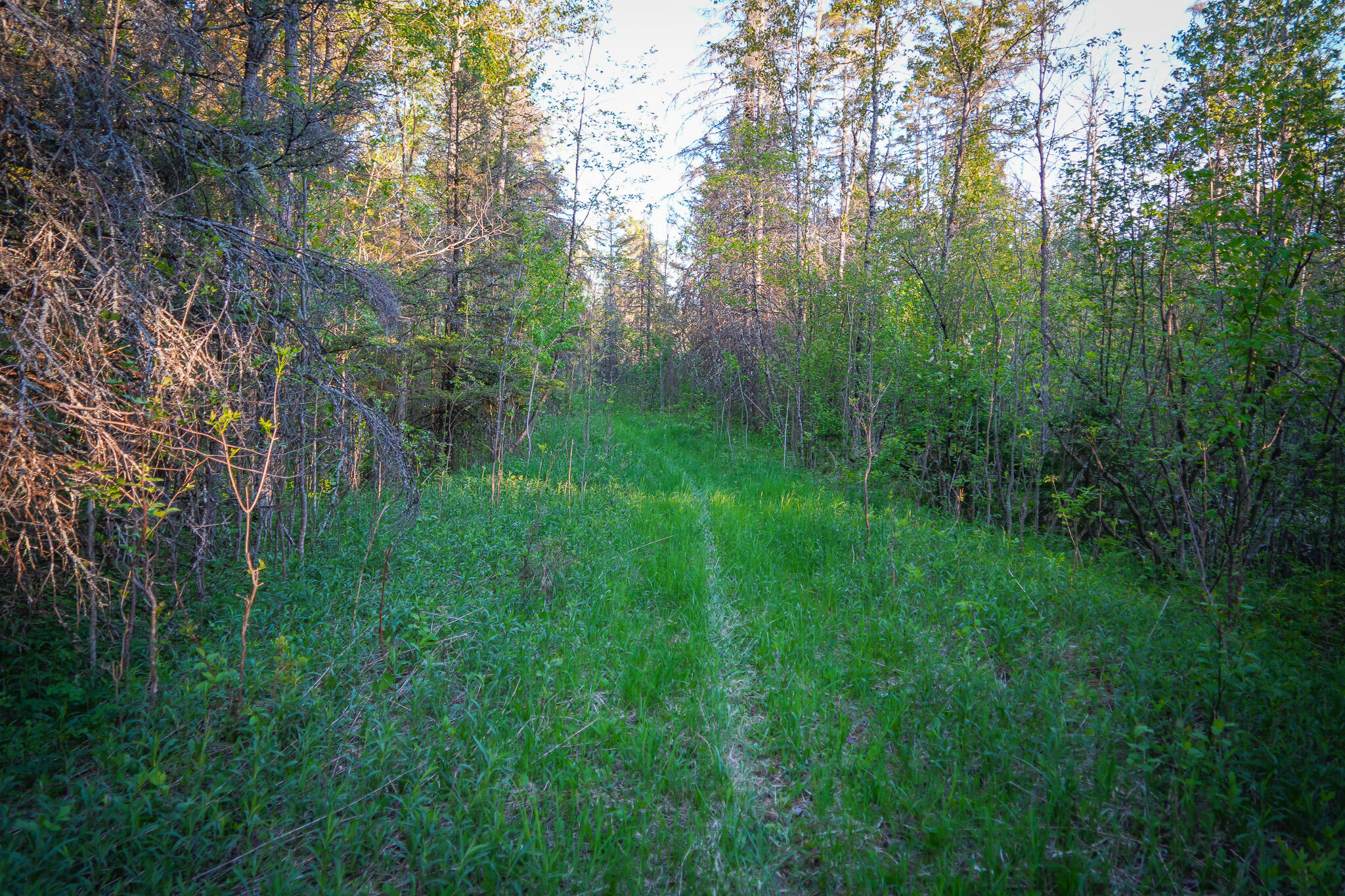 V/l V/l 33rd Road Perkins, MI 49872 - Photo 50 of 70 DSC00081