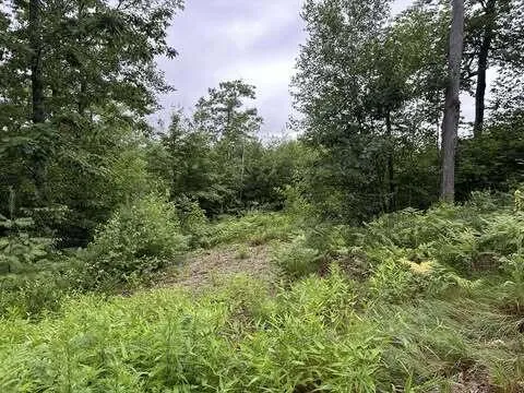 $205,000 | R01-044d Christian Hill Road, Lovell, ME 04051