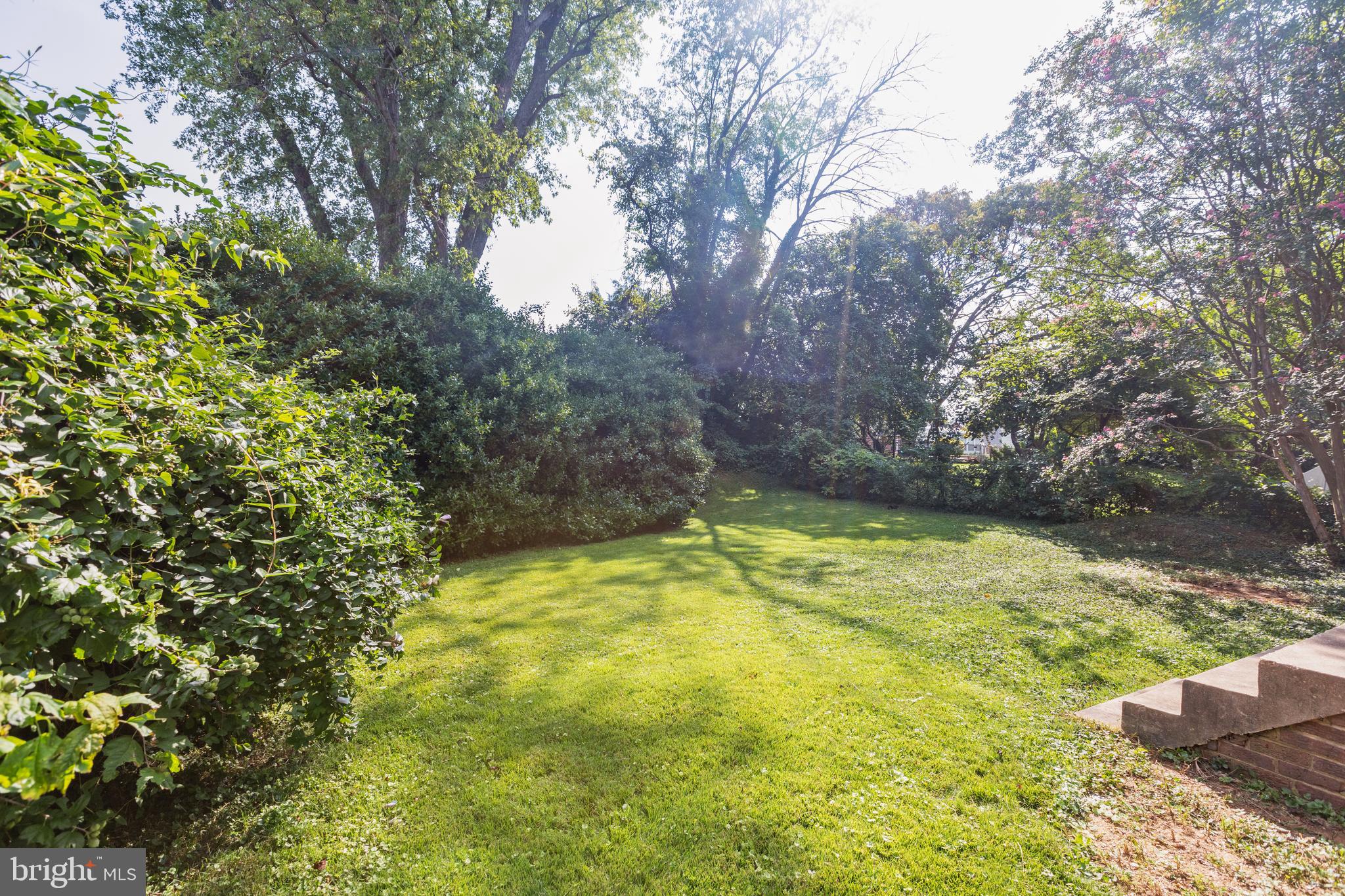 10123 Greeley Avenue Silver Spring, MD 20902 - Photo 30 of 32 Flat private backyard