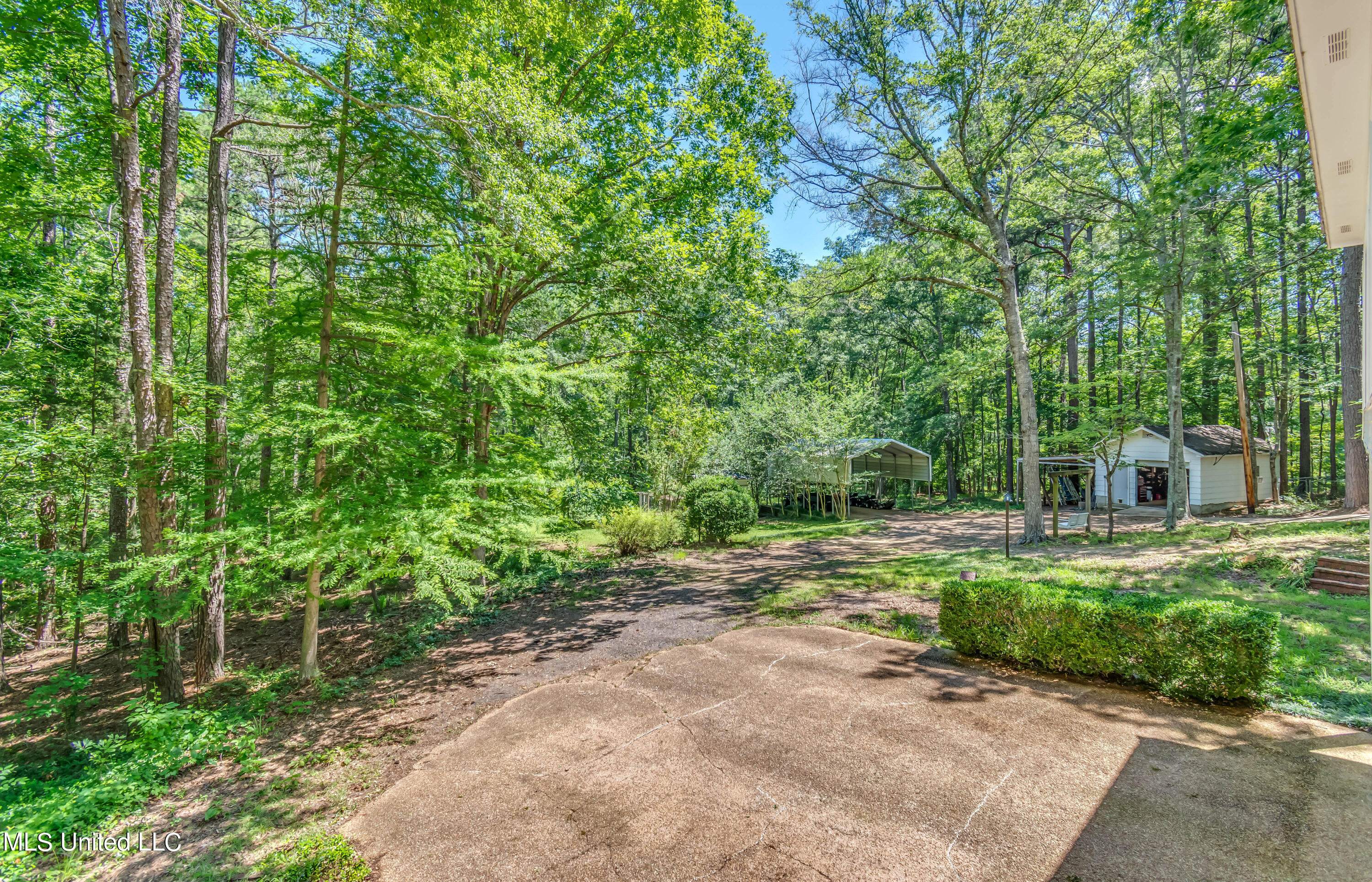 245 Coon Hunters Road Brandon, MS 39042 - Photo 45 of 70 245 Coon Hunters Road-14