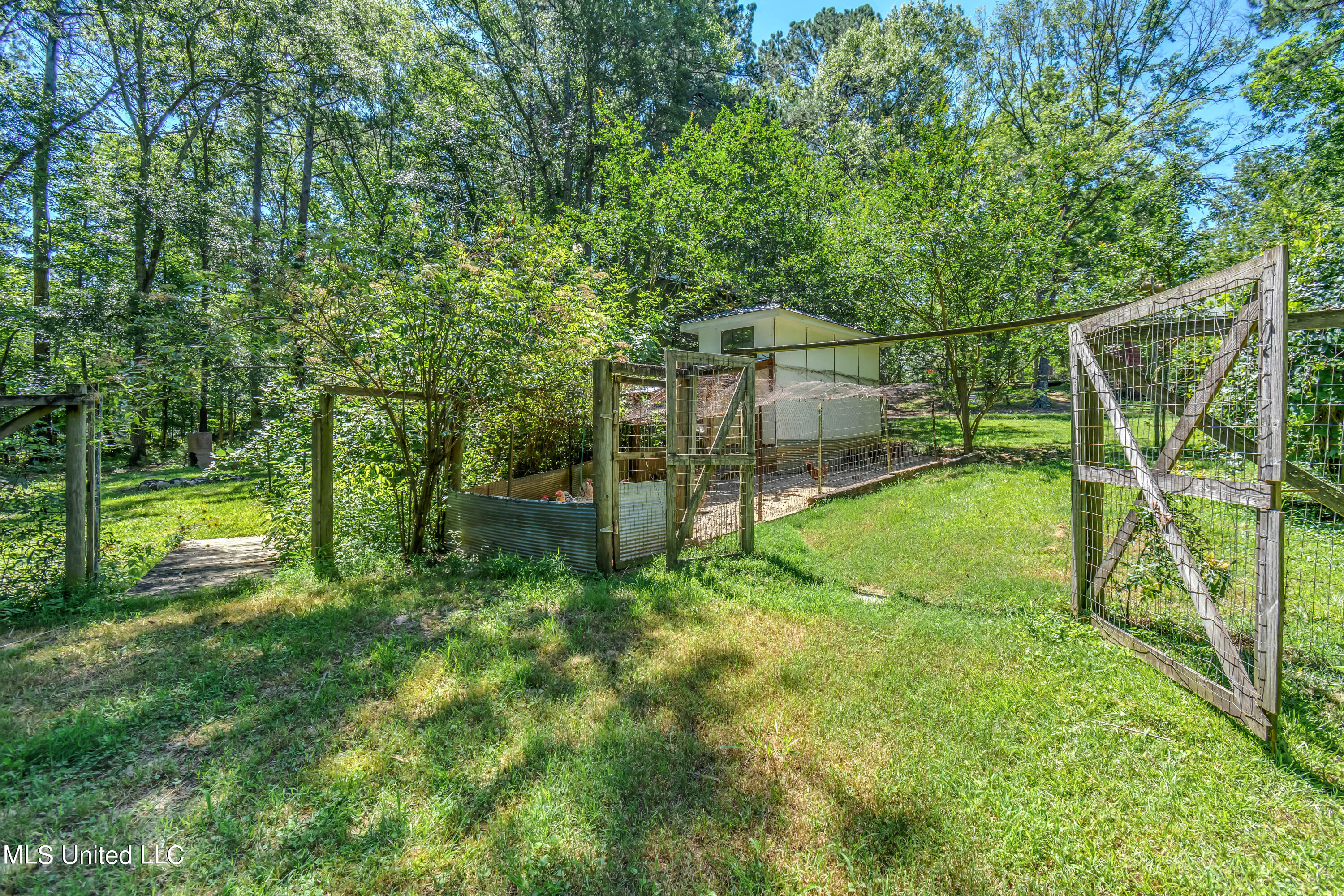 245 Coon Hunters Road Brandon, MS 39042 - Photo 48 of 70 245 Coon Hunters Road-5