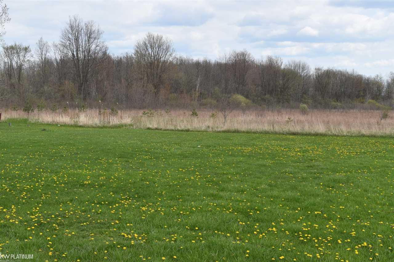3552 Kilgore Road Avoca, MI 48006 - Photo 9 of 46 50039370-8.JPG