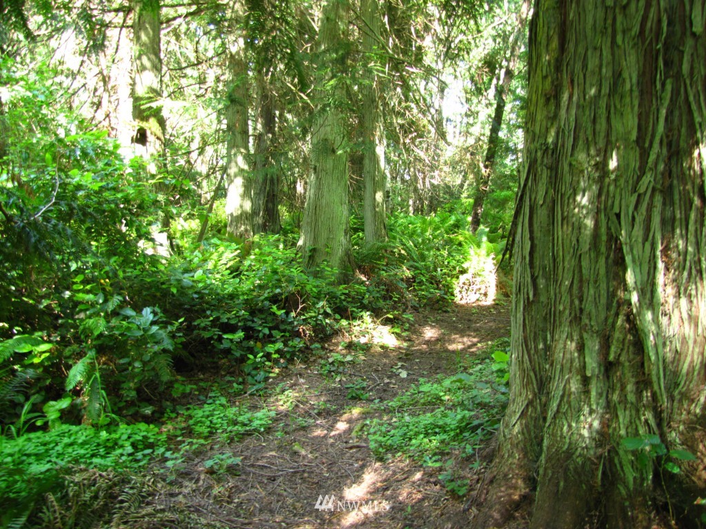 1 Reef Road Nordland, WA 98358 - Photo 15 of 22 Gallery Image 15