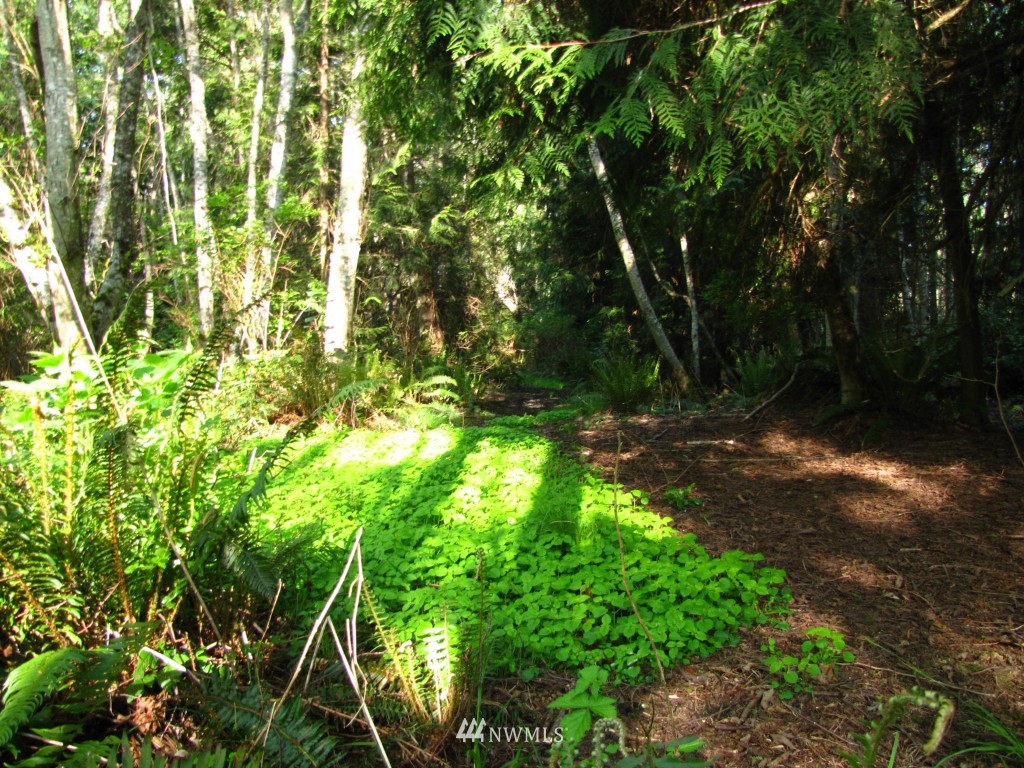 1 Reef Road Nordland, WA 98358 - Photo 16 of 22 Gallery Image 16