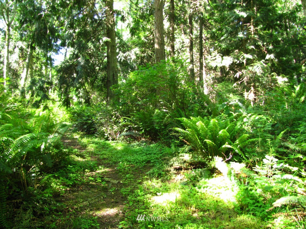 1 Reef Road Nordland, WA 98358 - Photo 17 of 22 Gallery Image 17