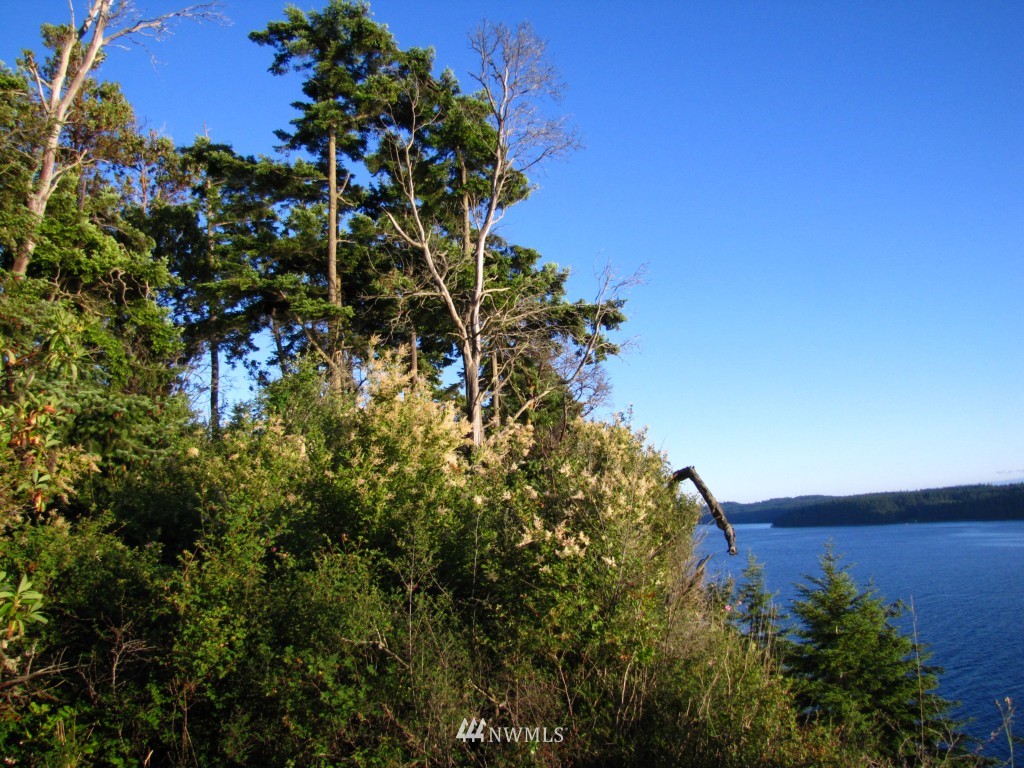 1 Reef Road Nordland, WA 98358 - Photo 6 of 22 Gallery Image 6