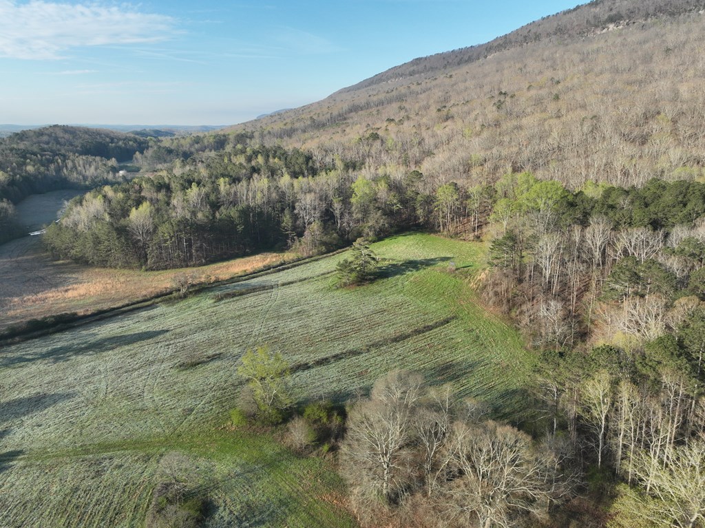 0 Shinbone Valley Road LaFayette, GA 30728 - Photo 5 of 15 Gallery Image 5