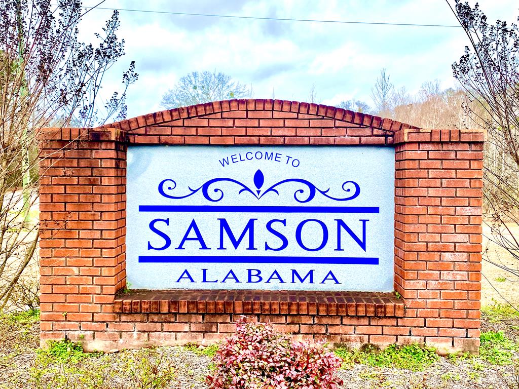 604 West W Main Street Samson, AL 36477 - Photo 3 of 5