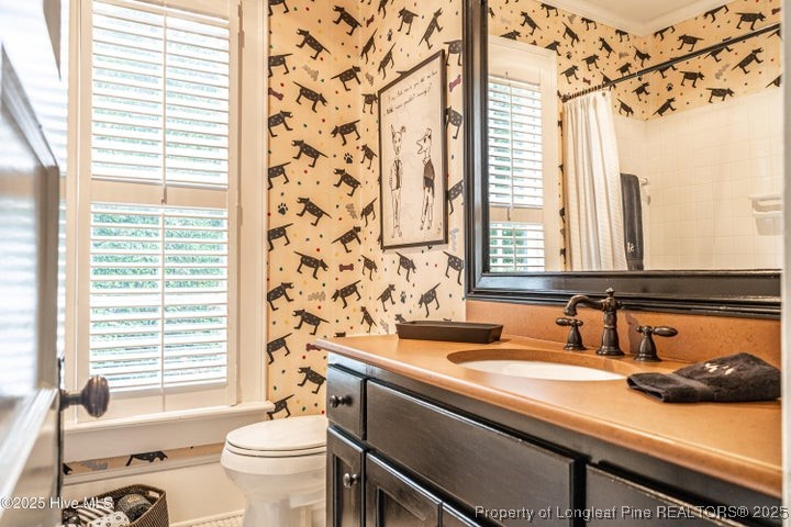 11102 Old Johns Road Laurinburg, NC 28352 - Photo 29 of 42 a bathroom with a sink and a toilet