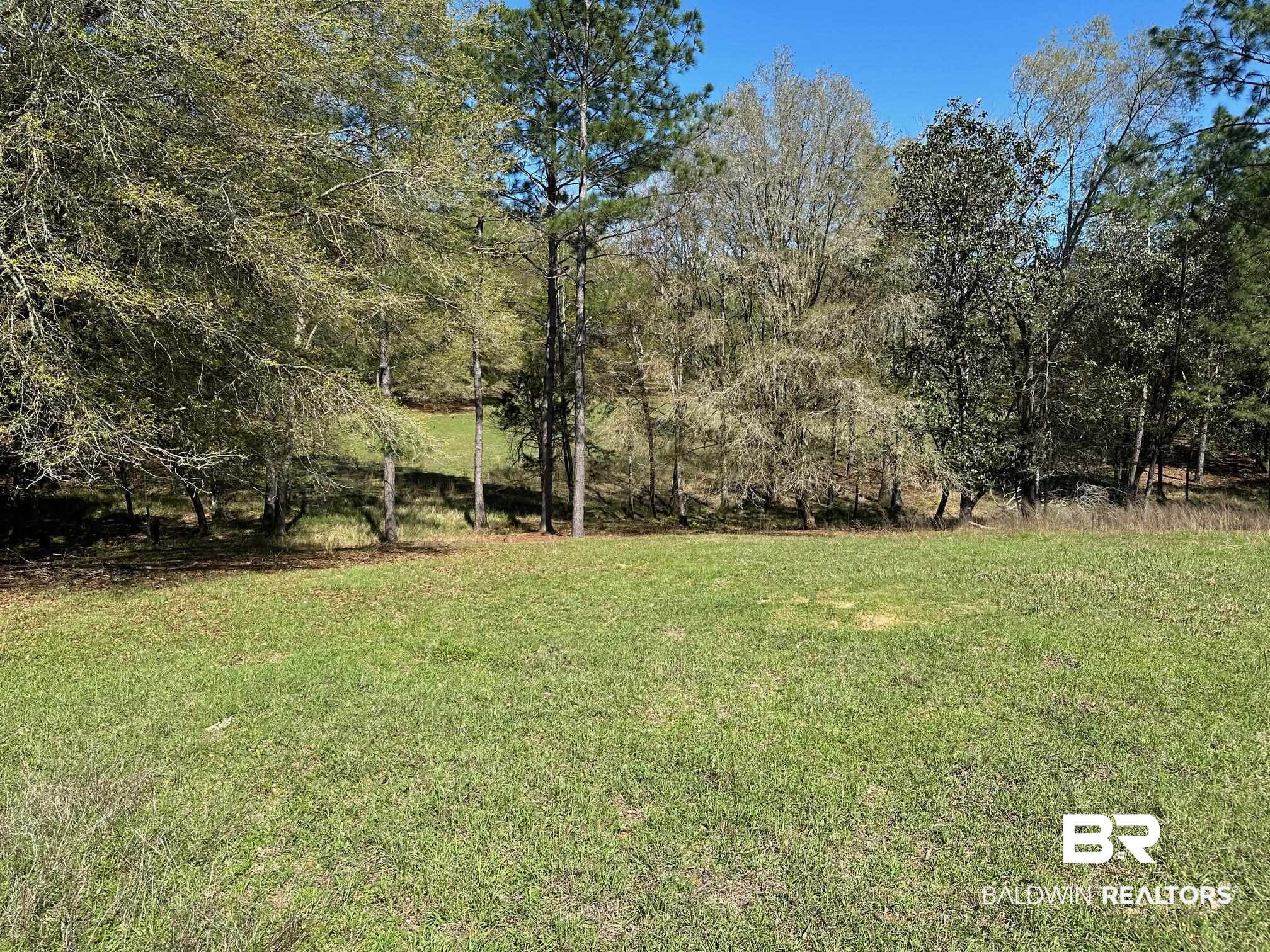 0 Rada Road Silverhill, AL 36576 - Photo 8 of 8 Back Acreage