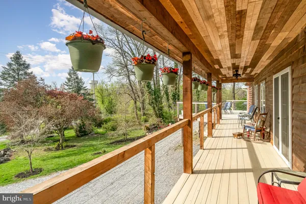 a view of a park with large trees