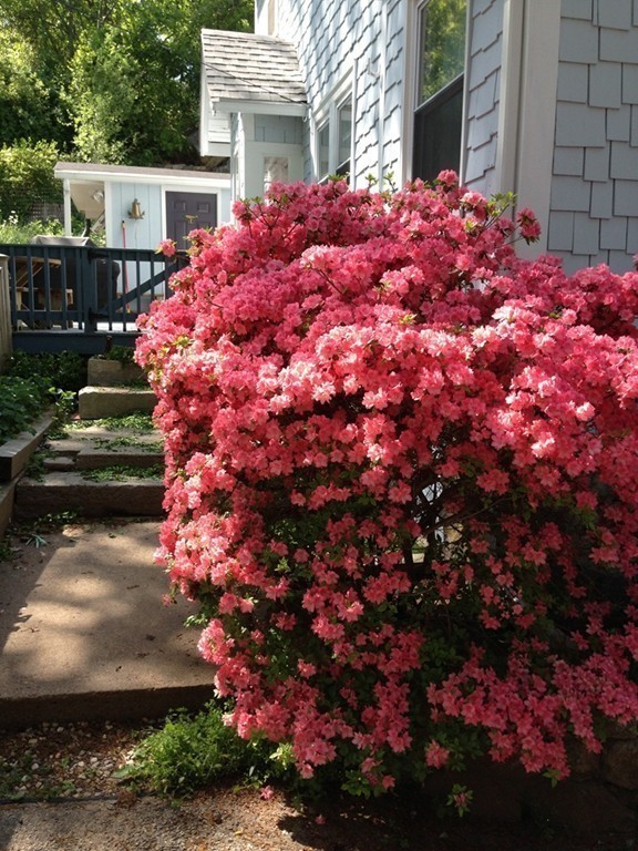 110 Thatcher Road Gloucester, MA 01930 - Photo 22 of 24