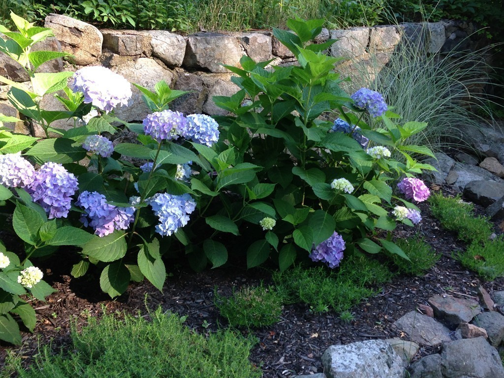 110 Thatcher Road Gloucester, MA 01930 - Photo 23 of 24