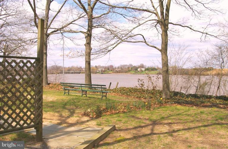View of Chester River from Back Yard