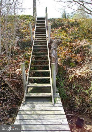Steps to Pier from back yard
