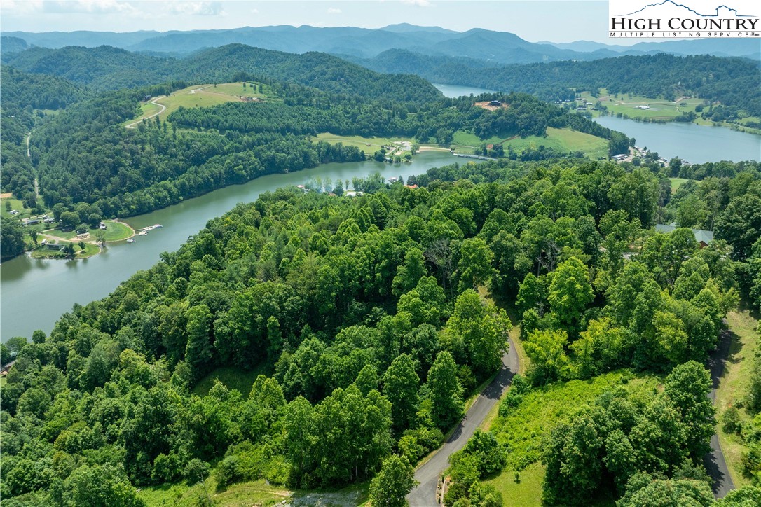 Lot 10 Lake Ridge Butler, TN 37640 - Photo 12 of 24 an aerial view of green landscape with trees houses and mountain view