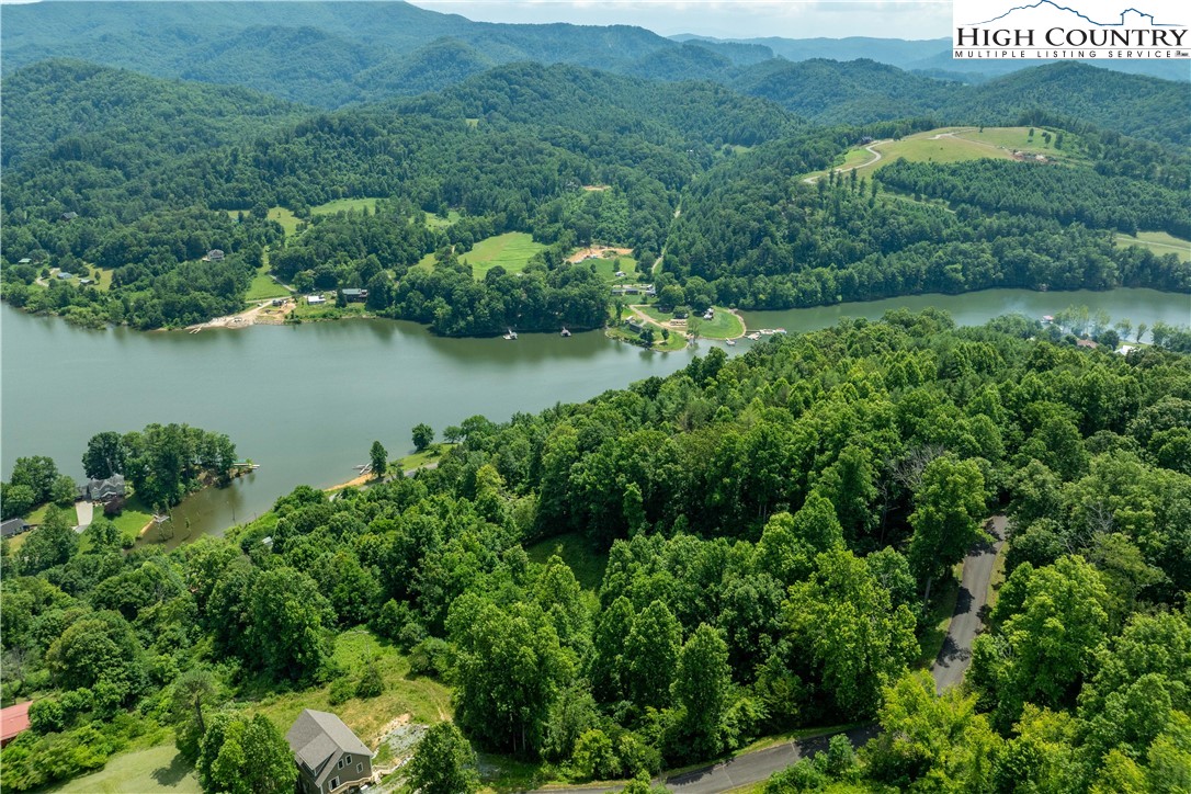 Lot 10 Lake Ridge Butler, TN 37640 - Photo 14 of 24 an aerial view of green landscape with trees houses and lake view