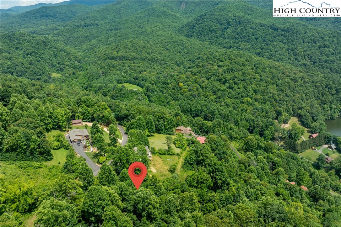 Lot 10 Lake Ridge Butler, TN 37640 - Photo 19 of 24 a close up of a lush green forest