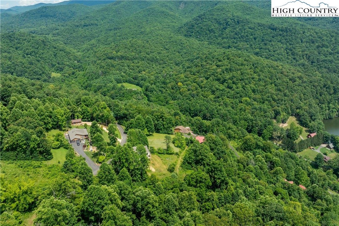 Lot 10 Lake Ridge Butler, TN 37640 - Photo 20 of 24 a view of a lush green forest with lawn chairs