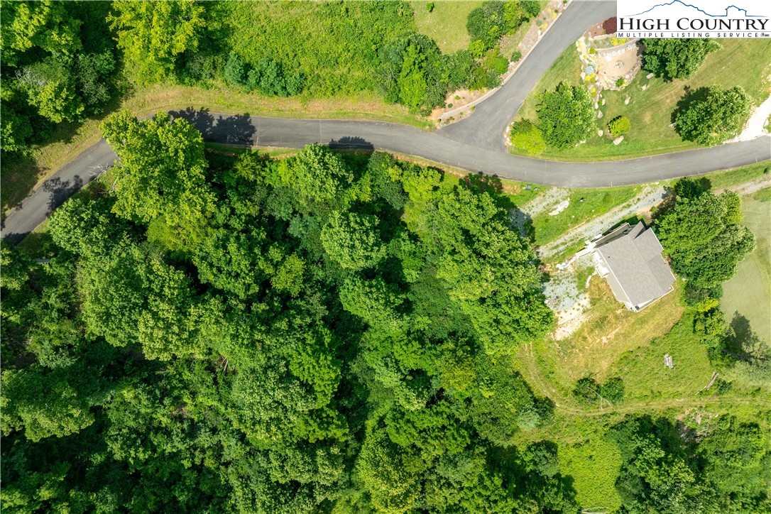 Lot 10 Lake Ridge Butler, TN 37640 - Photo 2 of 24 a view of a garden