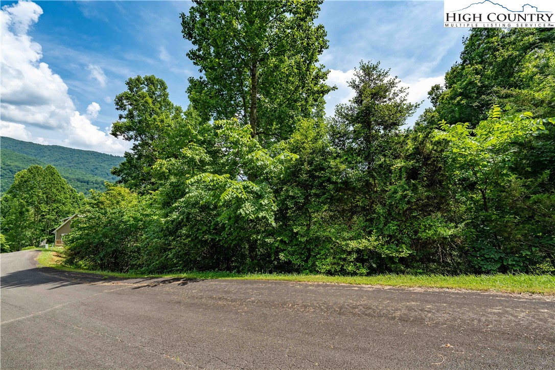 Lot 10 Lake Ridge Butler, TN 37640 - Photo 21 of 24 a view of a garden with an outdoor space