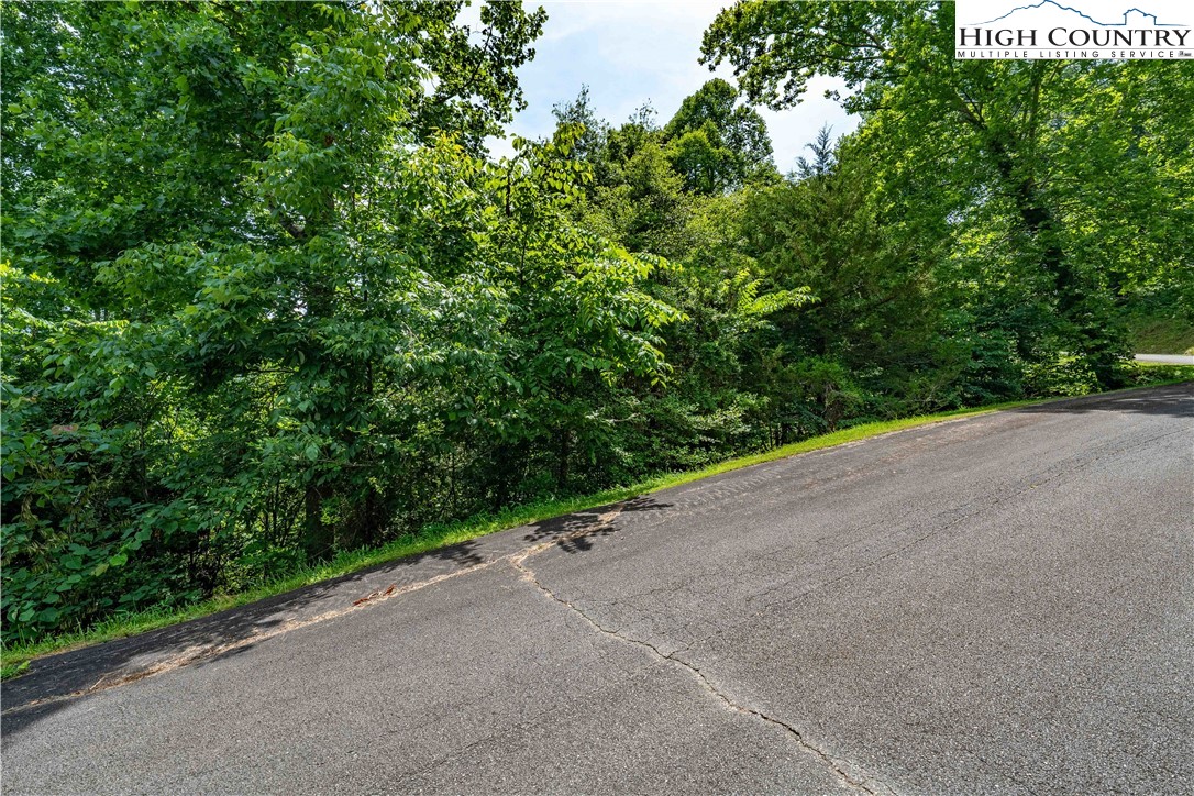 Lot 10 Lake Ridge Butler, TN 37640 - Photo 22 of 24 a view of a plants and trees in the background