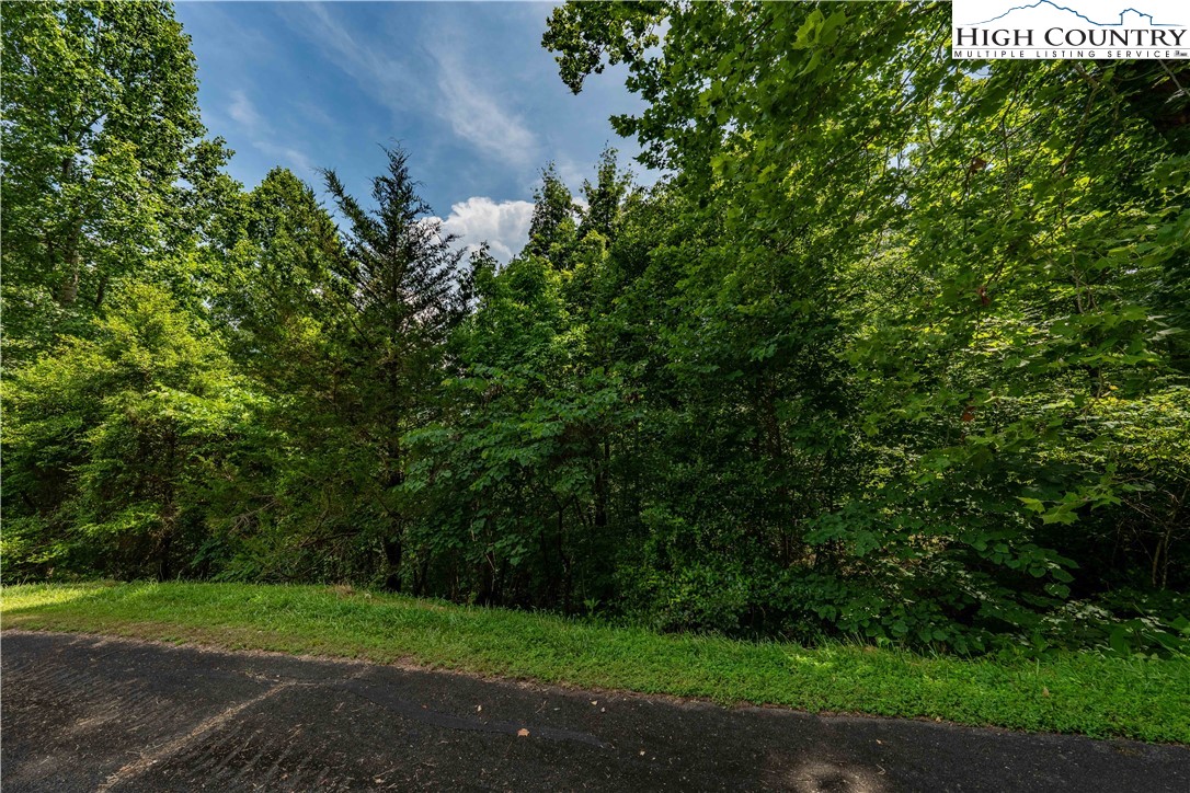 Lot 10 Lake Ridge Butler, TN 37640 - Photo 23 of 24 a view of a yard with a tree