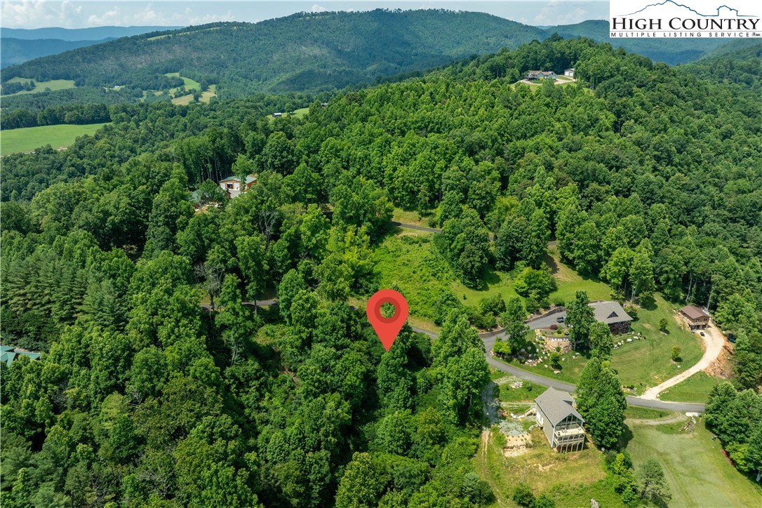 Lot 10 Lake Ridge Butler, TN 37640 - Photo 5 of 24 a view of a street with lots of bushes