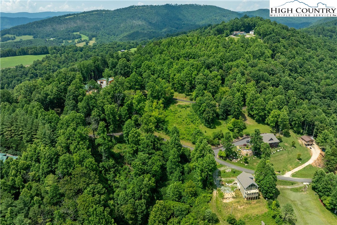 Lot 10 Lake Ridge Butler, TN 37640 - Photo 6 of 24 a view of a lush green field