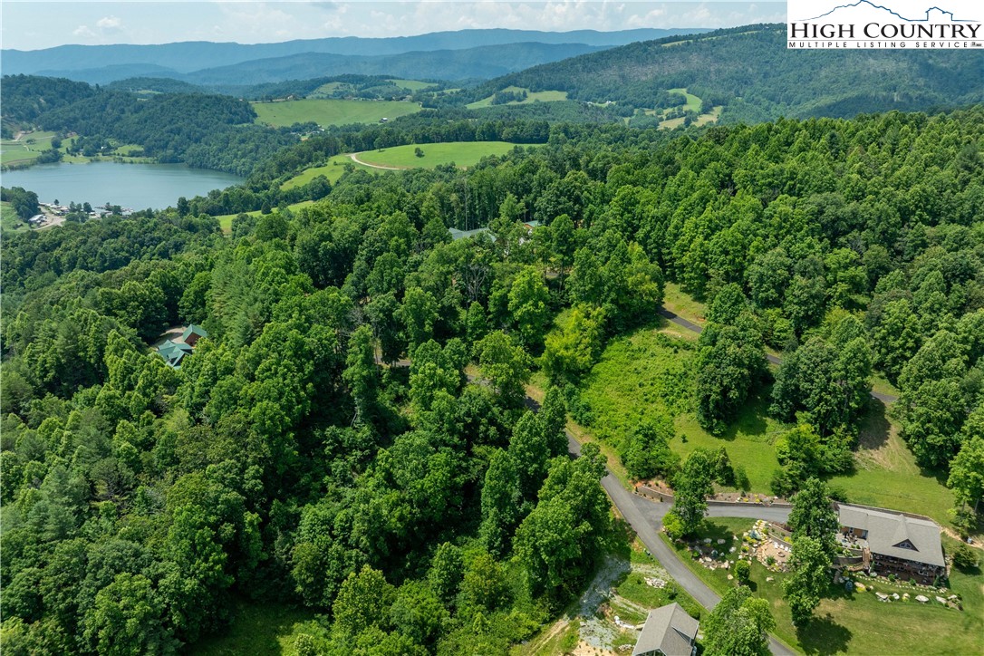 Lot 10 Lake Ridge Butler, TN 37640 - Photo 8 of 24 a view of a lush green field