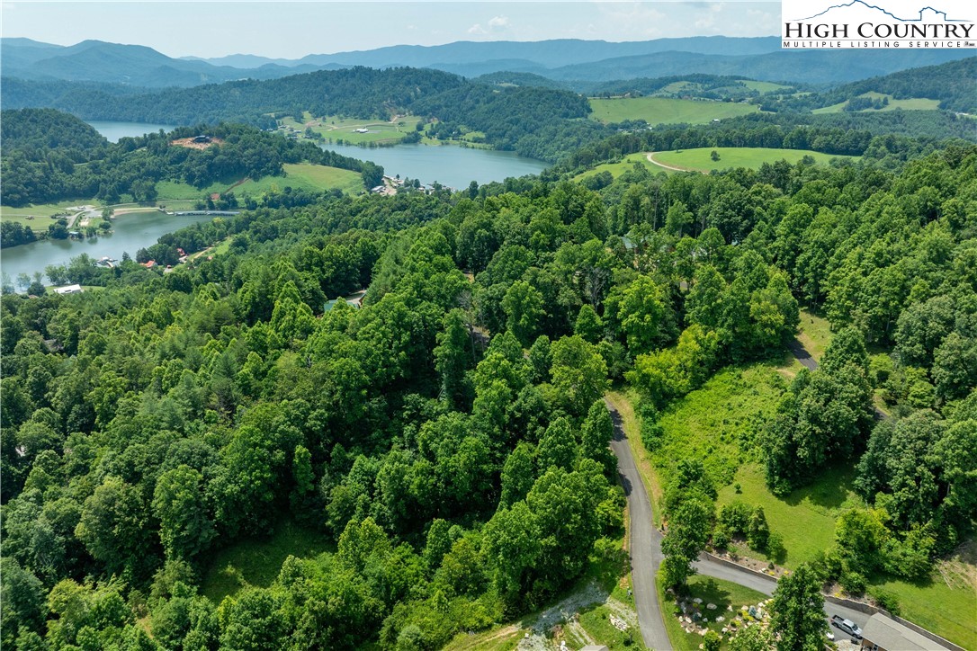 Lot 10 Lake Ridge Butler, TN 37640 - Photo 10 of 24 an aerial view of green landscape with trees houses and mountain view