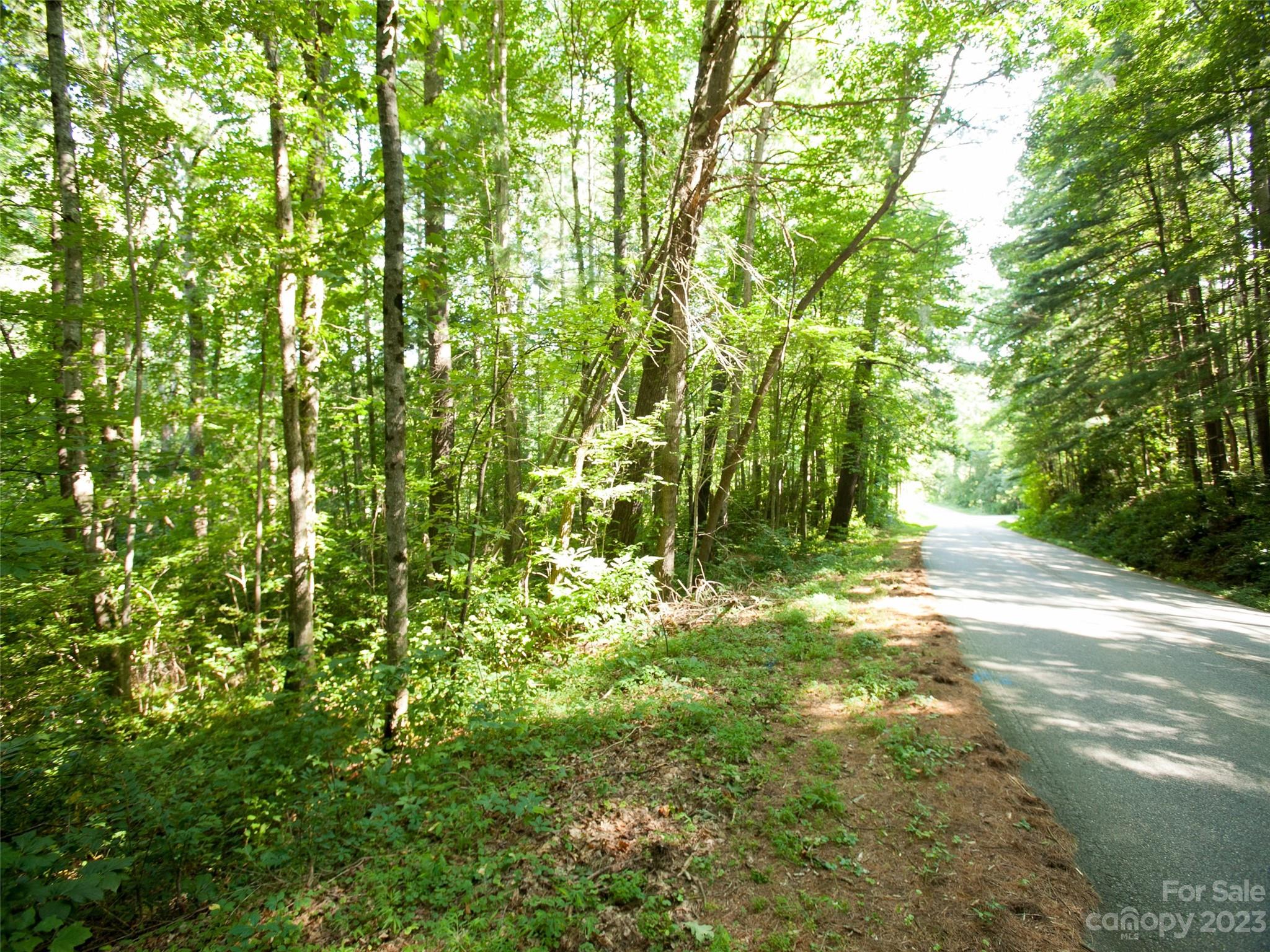 0 Weston Road Arden, NC 28704 - Photo 2 of 8 Gallery Image 2