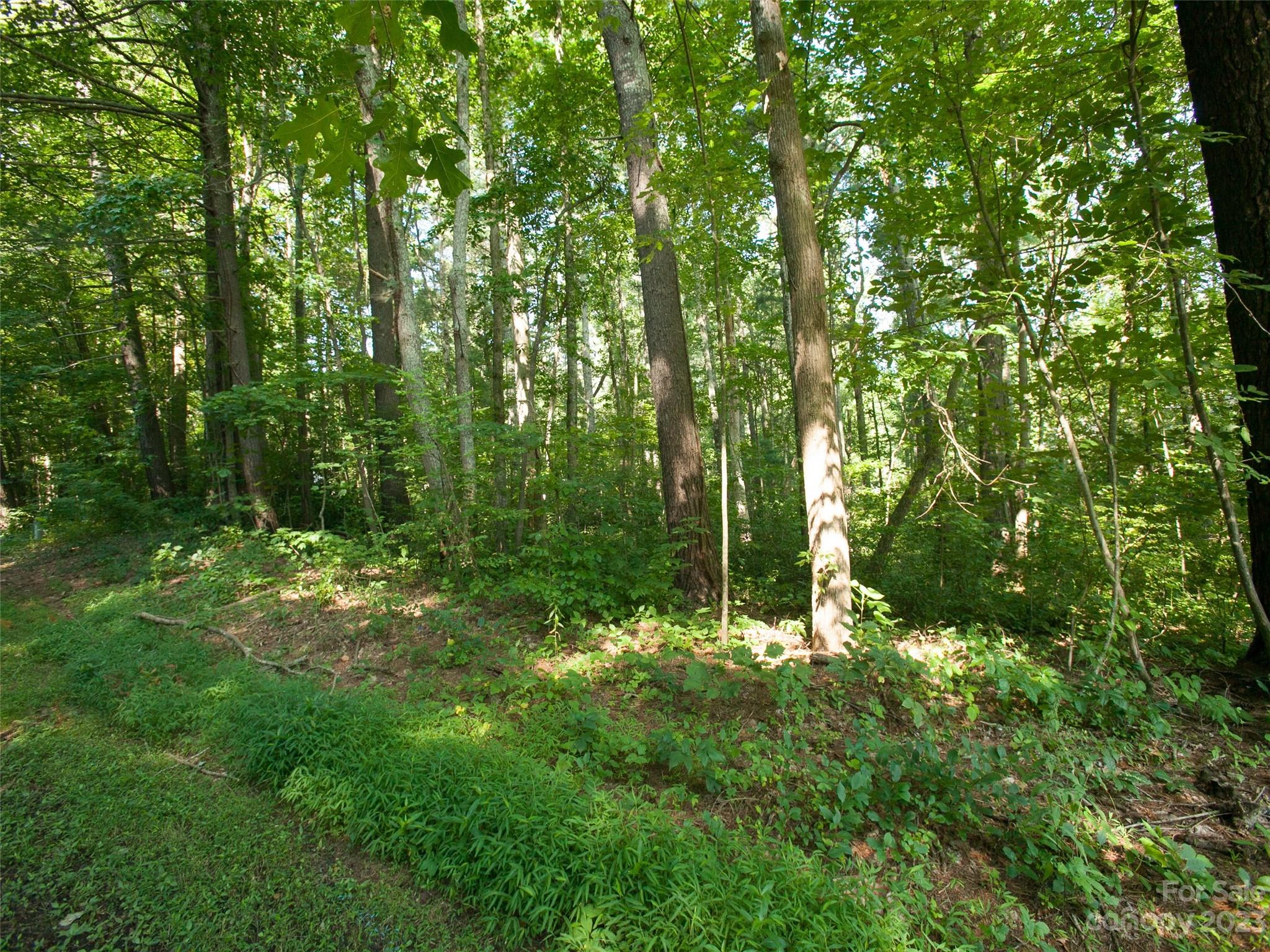 0 Weston Road Arden, NC 28704 - Photo 3 of 8 Gallery Image 3
