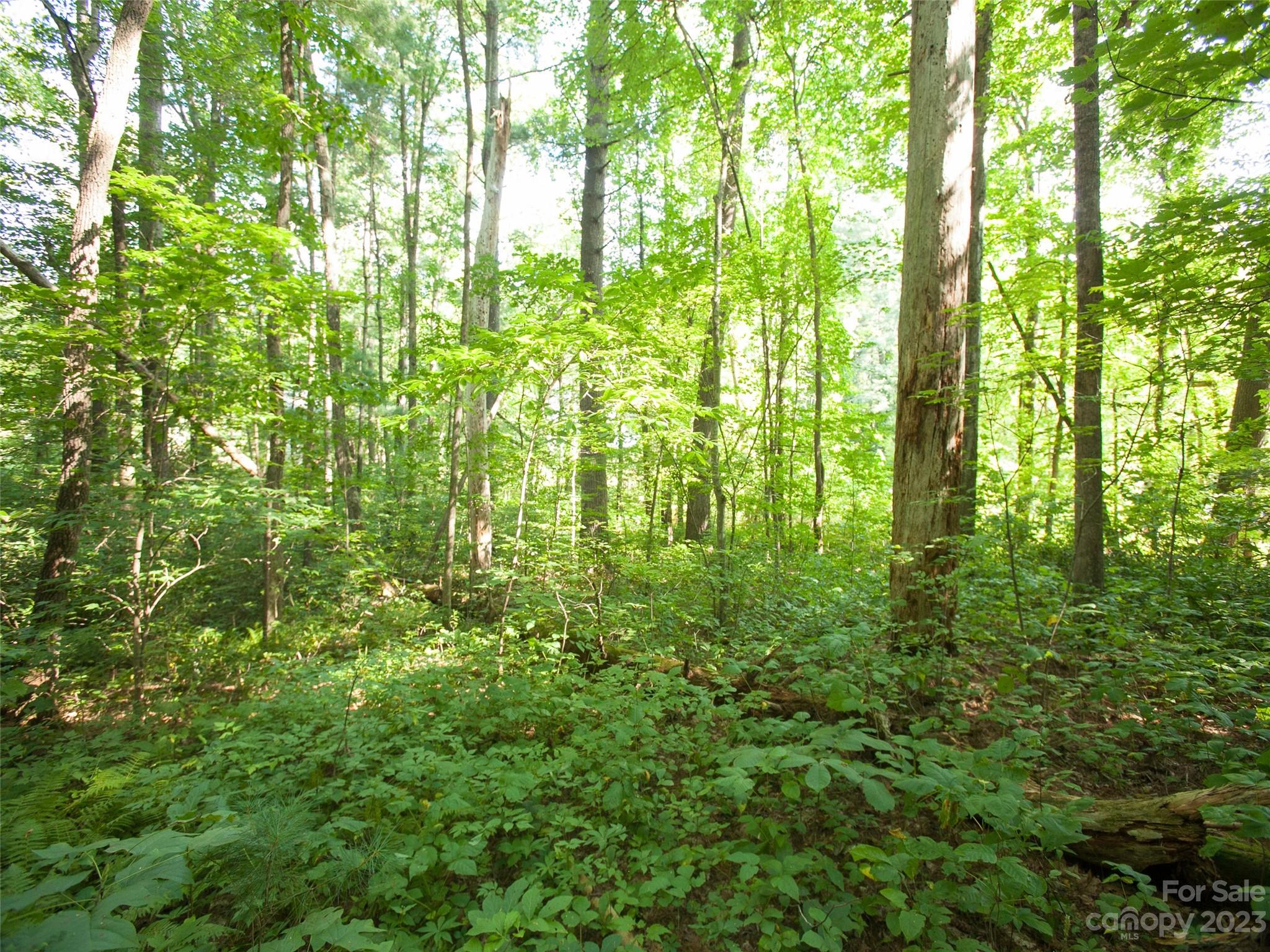 0 Weston Road Arden, NC 28704 - Photo 4 of 8 Gallery Image 4