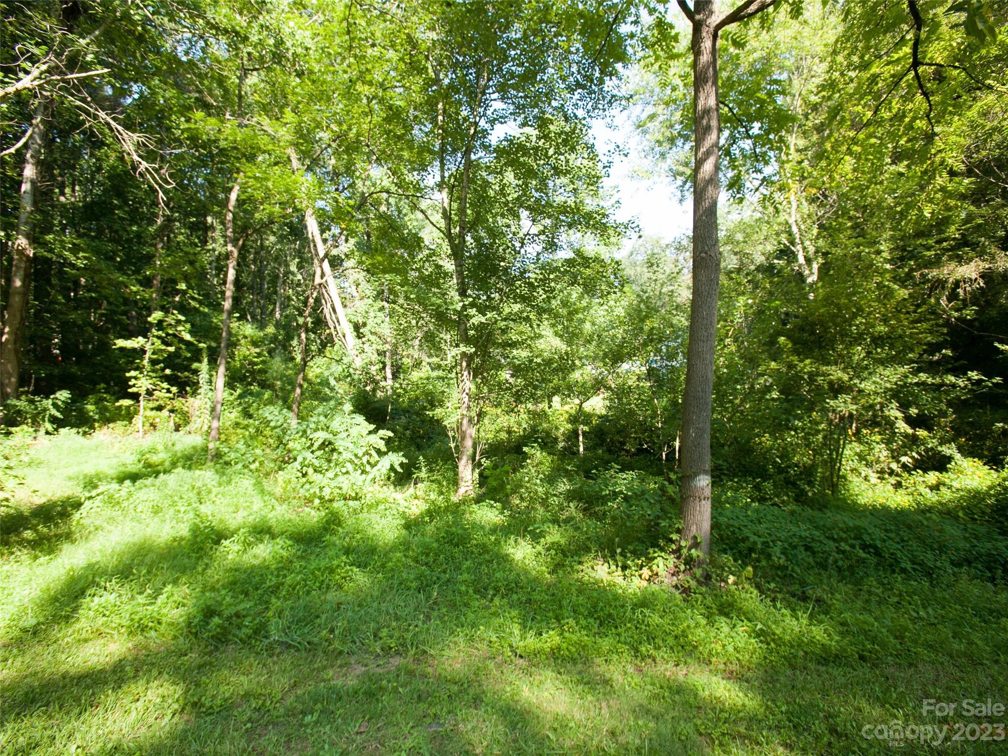 0 Weston Road Arden, NC 28704 - Photo 6 of 8 Gallery Image 6