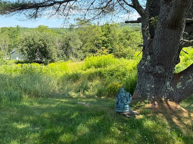 1023 Silver Lake Road Bucksport, ME 04416 - Photo 28 of 36 IMG_2062