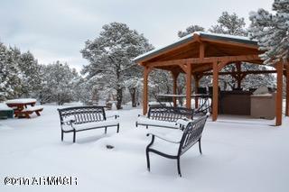 52 County Road 8144 Concho, AZ 85924 - Photo 25 of 27 Home in Winter